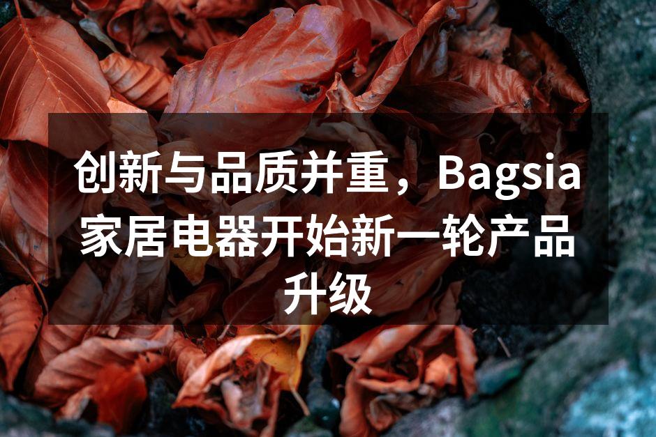 Bagsia新款智能冰箱，科技与设计的完美结合。